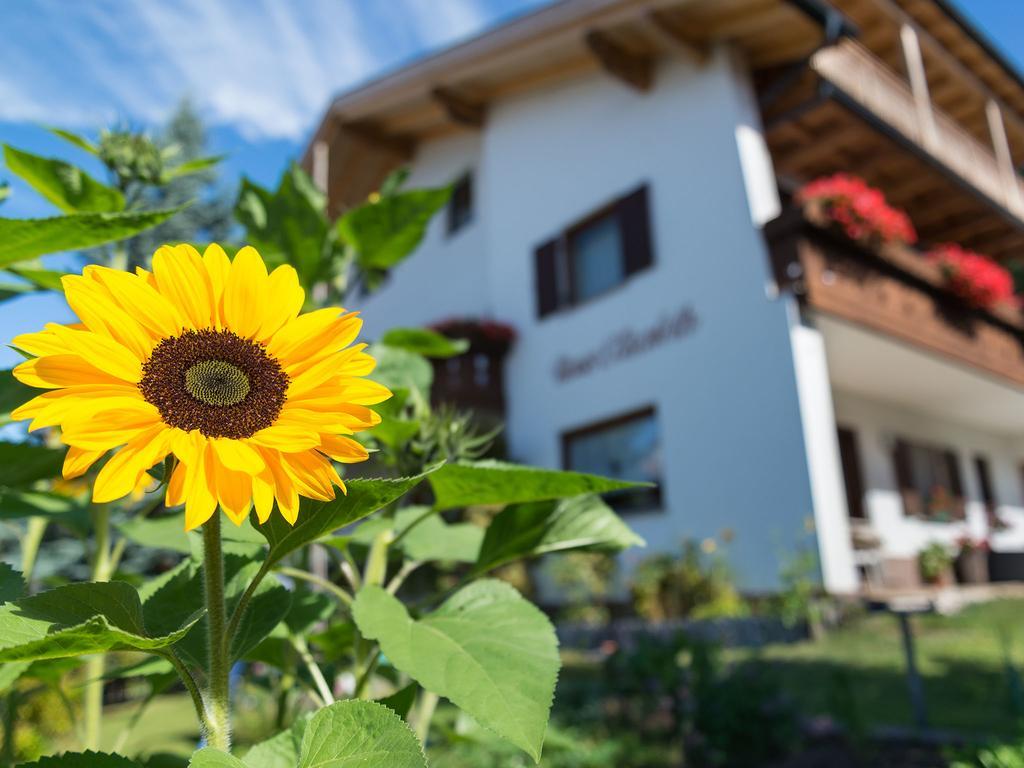 Haus Elisabeth Hotel Nova Ponente Luaran gambar